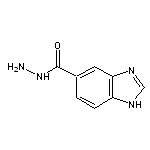 1H-benzimidazole-5-carbohydrazide