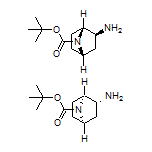 exo-7-Boc-7-azabicyclo[2.2.1]heptan-2-amine