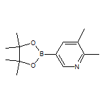 2,3-Dimethylpyridine-5-boronic Acid Pinacol Ester
