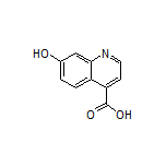 7-Hydroxyquinoline-4-carboxylic Acid
