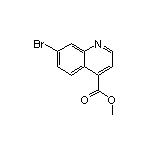 Methyl 7-Bromoquinoline-4-carboxylate