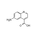 6-Aminoquinoline-4-carboxylic Acid