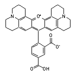 5-Carboxy-X-rhodamine