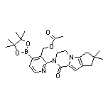 3-(Acetoxymethyl)-2-[7,7-dimethyl-1-oxo-3,4,7,8-tetrahydro-1H-cyclopenta[4,5]pyrrolo[1,2-a]pyrazin-2(6H)-yl]pyridine-4-boronic Acid Pinacol Ester