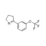 5-[3-(Trifluoromethoxy)phenyl]-3,4-dihydro-2H-pyrrole