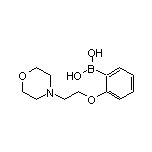 2-(2-Morpholinoethoxy)phenylboronic Acid