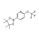 6-(Trifluoromethoxy)pyridine-3-boronic Acid Pinacol Ester