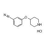 3-(4-Piperidyloxy)benzonitrile Hydrochloride