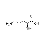 L-Ornithine