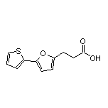 3-[5-(2-Thienyl)-2-furyl]propanoic Acid