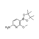 6-Amino-2-methoxypyridine-3-boronic Acid Pinacol Ester