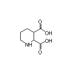 Piperidine-2,3-dicarboxylic Acid