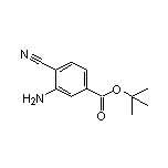 tert-Butyl 3-Amino-4-cyanobenzoate