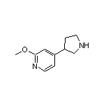 2-Methoxy-4-(3-pyrrolidinyl)pyridine