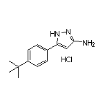 3-Amino-5-[4-(tert-butyl)phenyl]pyrazole Hydrochloride