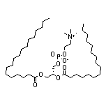 (R)-2-(Palmitoyloxy)-3-(stearoyloxy)propyl [2-(Trimethylammonio)ethyl] Phosphate