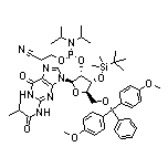 3’-O-tert-Butyldimethylsilyl-5’-O-DMT-N2-isobutyrylguanosine 2’-CE phosphoramidite 