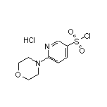 6-Morpholinopyridine-3-sulfonyl Chloride Hydrochloride