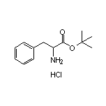 H-DL-Phe-OtBu.HCl