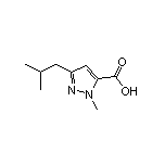 3-Isobutyl-1-methylpyrazole-5-carboxylic Acid