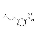 2-(Cyclopropylmethoxy)pyridine-4-boronic Acid