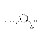 2-Isobutoxypyridine-4-boronic Acid