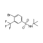 4-Bromo-N-(tert-butyl)-3-(trifluoromethyl)benzenesulfonamide
