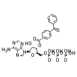 (2R,3S,4R,5R)-5-(6-Amino-9H-purin-9-yl)-4-hydroxy-2-[[[hydroxy[[hydroxy(phosphonooxy)phosphoryl]oxy]phosphoryl]oxy]methyl]tetrahydrofuran-3-yl 4-Benzoylbenzoate