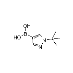 1-(tert-Butyl)pyrazole-4-boronic Acid