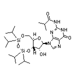 N-[9-[(6aR,8R,9R,9aS)-9-Hydroxy-2,2,4,4-tetraisopropyltetrahydro-6H-furo[3,2-f][1,3,5,2,4]trioxadisilocin-8-yl]-6-oxo-6,9-dihydro-1H-purin-2-yl]isobutyramide