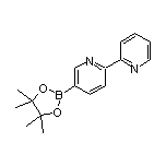 2,2’-Bipyridine-5-boronic Acid Pinacol Ester