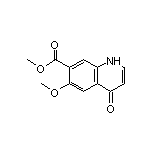 Methyl 6-Methoxy-4-oxo-1,4-dihydroquinoline-7-carboxylate