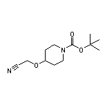 2-[(1-Boc-4-piperidyl)oxy]acetonitrile