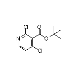 tert-Butyl 2,4-Dichloronicotinate