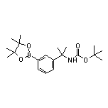 3-[2-(Boc-amino)-2-propyl]phenylboronic Acid Pinacol Ester