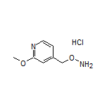 O-[(2-Methoxy-4-pyridyl)methyl]hydroxylamine Hydrochloride