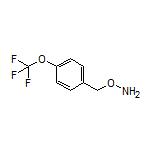 O-[4-(Trifluoromethoxy)benzyl]hydroxylamine