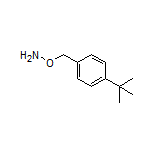 O-[4-(tert-Butyl)benzyl]hydroxylamine