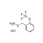 O-[2-(Trifluoromethoxy)benzyl]hydroxylamine Hydrochloride