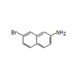 2-Amino-7-bromonaphthalene