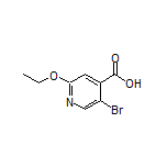 5-Bromo-2-ethoxyisonicotinic Acid