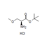 tert-Butyl (S)-2-Amino-3-methoxypropanoate Hydrochloride