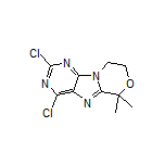 2,4-Dichloro-6,6-dimethyl-8,9-dihydro-6H-[1,4]oxazino[4,3-e]purine