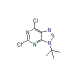 9-(tert-Butyl)-2,6-dichloro-9H-purine