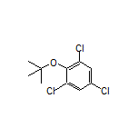 2-(tert-Butoxy)-1,3,5-trichlorobenzene