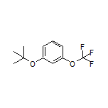 1-(tert-Butoxy)-3-(trifluoromethoxy)benzene