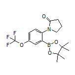 2-(2-Oxo-1-pyrrolidinyl)-5-(trifluoromethoxy)phenylboronic Acid Pinacol Ester