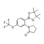 2-(2-Oxo-1-pyrrolidinyl)-4-(trifluoromethoxy)phenylboronic Acid Pinacol Ester