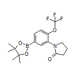 3-(2-Oxo-1-pyrrolidinyl)-4-(trifluoromethoxy)phenylboronic Acid Pinacol Ester