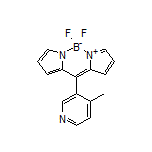 5,5-Difluoro-10-(4-methyl-3-pyridyl)-5H-dipyrrolo[1,2-c:2’,1’-f][1,3,2]diazaborinin-4-ium-5-uide